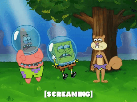 season 5 episode 10 GIF by SpongeBob SquarePants