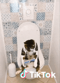 Chat GIF by TikTok France