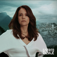distrito salvaje wild district GIF by netflixlat