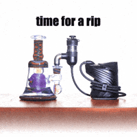 Jolly Roger GIF