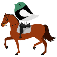 Juegosolimpicos Sticker by Delibarrasmx