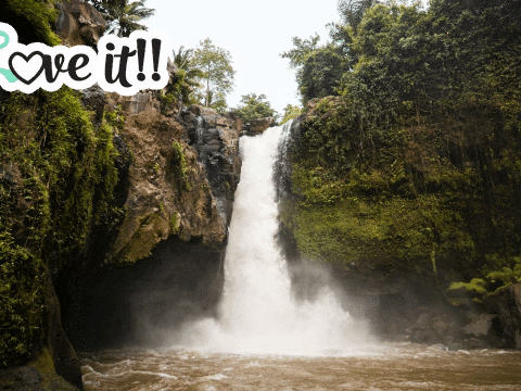 GIF by FranchiseONE.de