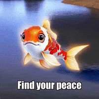 Peace Wisdom GIF by TheConfishius