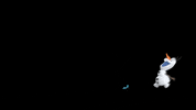 walt disney animation studios cinderella GIF by Disney