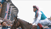 AscotRacecourse celebrate jump winner horse GIF