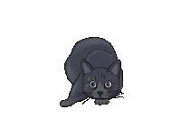 Cats Swooning Sticker by Honest Kitchen