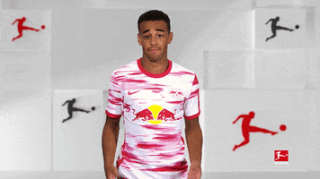 No Idea What GIF by Bundesliga