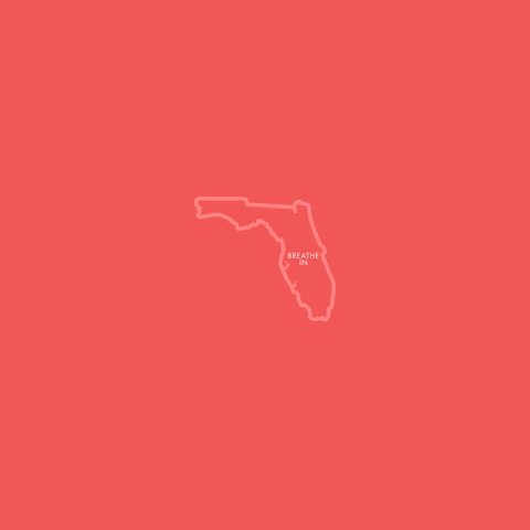 Florida State GIF by Creative Courage