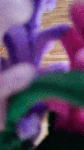 giphy.gif