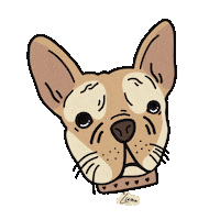 Happilyeveradlerman Sticker