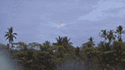 Costa Rica Pacific Oean GIF by Chris