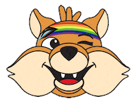 Rainbow Gay Sticker by Université de Sherbrooke