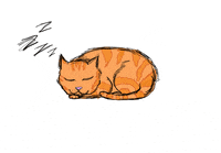 sleeping beauty sleep GIF