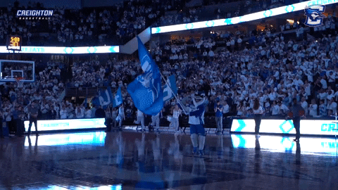 Billy Bluejay GIF by Creighton University Athletics