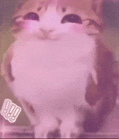 Happy GIF