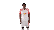 No Clue What Sticker by RB Leipzig