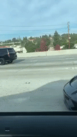 LeBron James Spotted in Porsche on Los Angeles Freeway