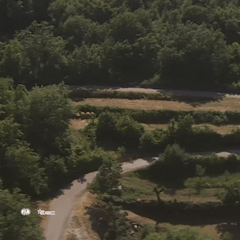 Erc GIF by FIA European Rally Championship