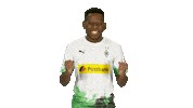 Happy Football Sticker by Bundesliga