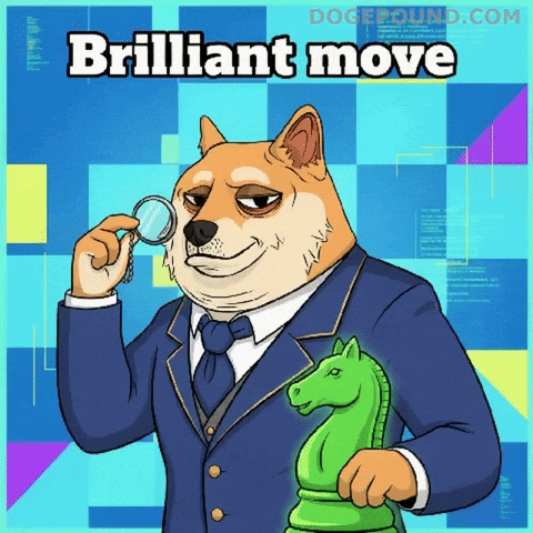 Thinking Inspecting GIF by Doge Pound