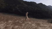 wind GIF by SoulPancake