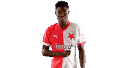 Football Soccer Sticker by SK Slavia Praha