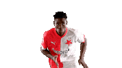 Football Soccer Sticker by SK Slavia Praha