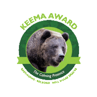 Bear Comedian Sticker by Woodland Park Zoo