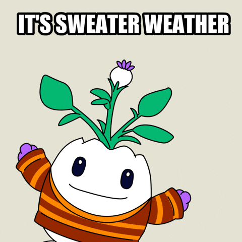 Freezing Sweater Weather GIF by Magic Eden