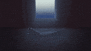 lyric video tread lightly GIF by Forest Blakk