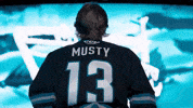 San Jose Celebration GIF by San Jose Barracuda