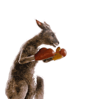 Kanguru Sticker by Die Känguru Chroniken