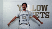 Georgia Tech Adidas GIF by Georgia Tech Yellow Jackets