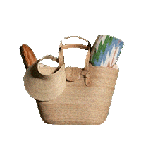 Spring Sunshine Sticker by Nipomo