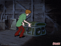 Halloween Wtf GIF by Scooby-Doo