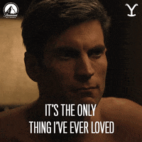 Paramount Network GIF by Yellowstone