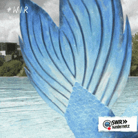 Under Water Swimming GIF by SWR Kindernetz