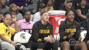 iowa hawkeyes go hawks GIF by University of Iowa Hawkeyes Athletics