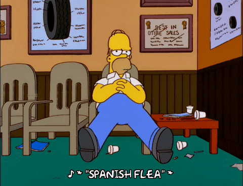 homer simpson GIF