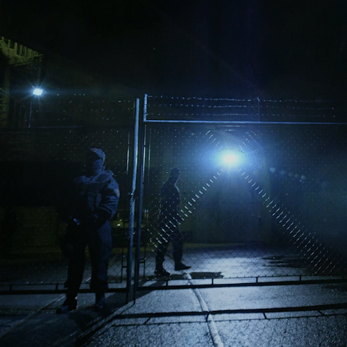 k-391 mystery GIF