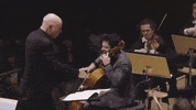 cello pabloferrandez GIF by bambera