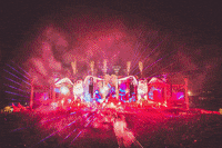 live music concert GIF by Tiësto