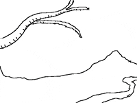 Mikbulp love butterfly evolution caterpillar GIF