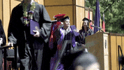 dab graduation GIF by Linfield College