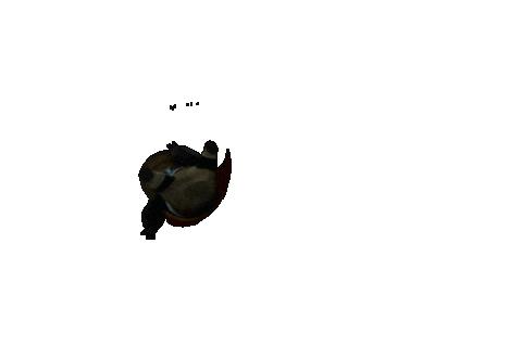 Awesome Dragon Warrior Sticker by Kung Fu Panda 4