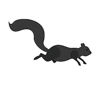 Kent State Squirrel Sticker by Kent State University