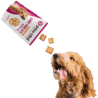 Peanut Butter Dog Sticker by cbdMD