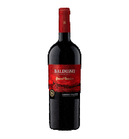 balduzziwines wine chile vino vinho Sticker