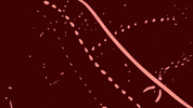 animation art GIF by Philippe Roy