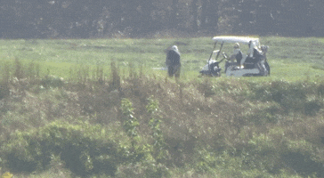 Golfing Donald Trump GIF by GIPHY News
